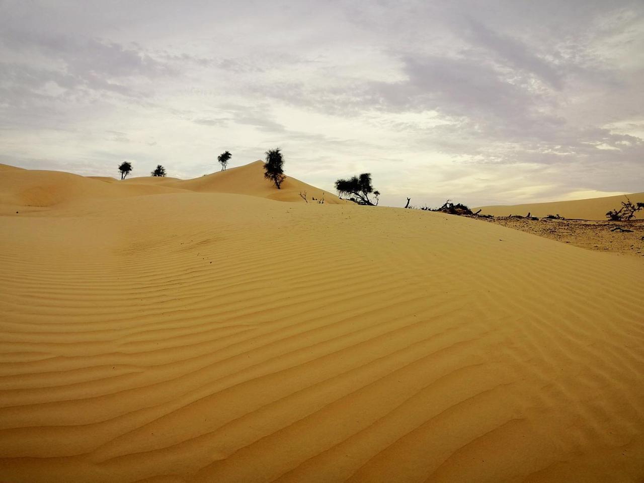 Queen Desert Camp Fulayj al Masha'ikh Zewnętrze zdjęcie